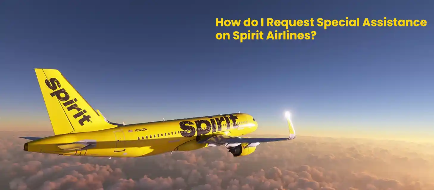how-do-i-request-special-assistance-on-spirit-airlines