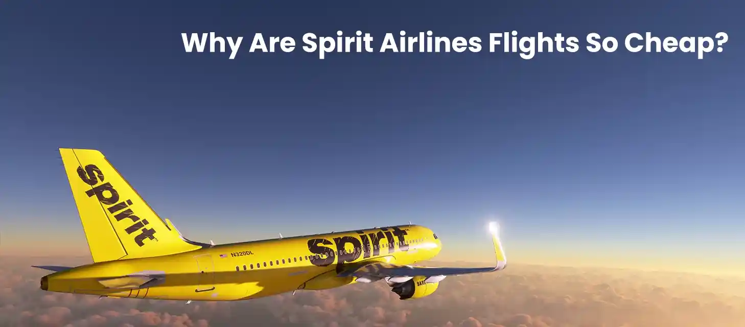 Why Are Spirit Airlines Flights So Cheap