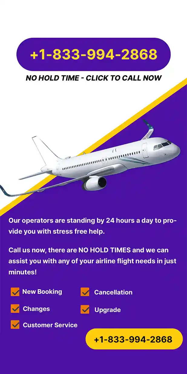 spirit flight offer